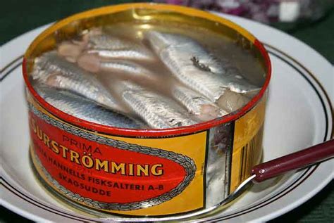 the stinkiest fish in the world|Eating Surströmming (The SMELLIEST Fish in the。